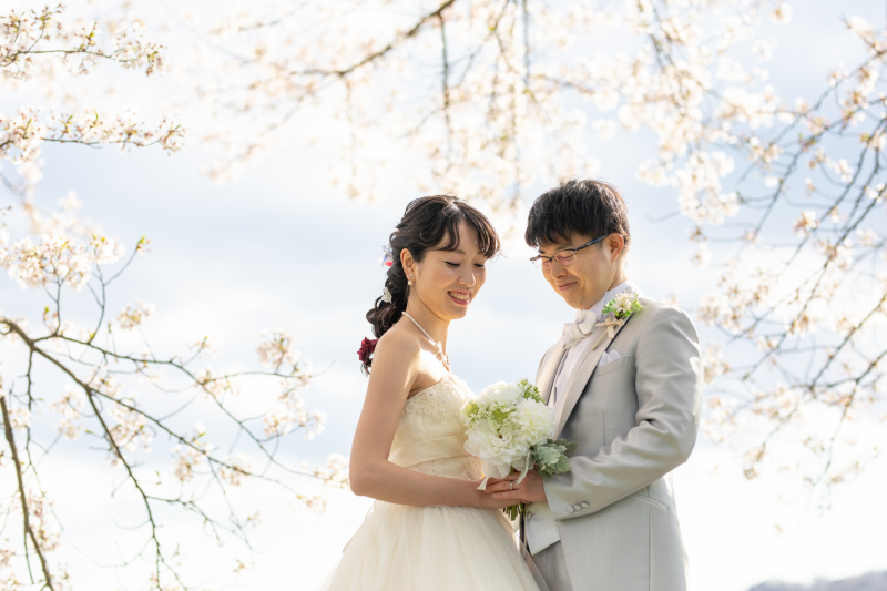 桜に囲まれながら...