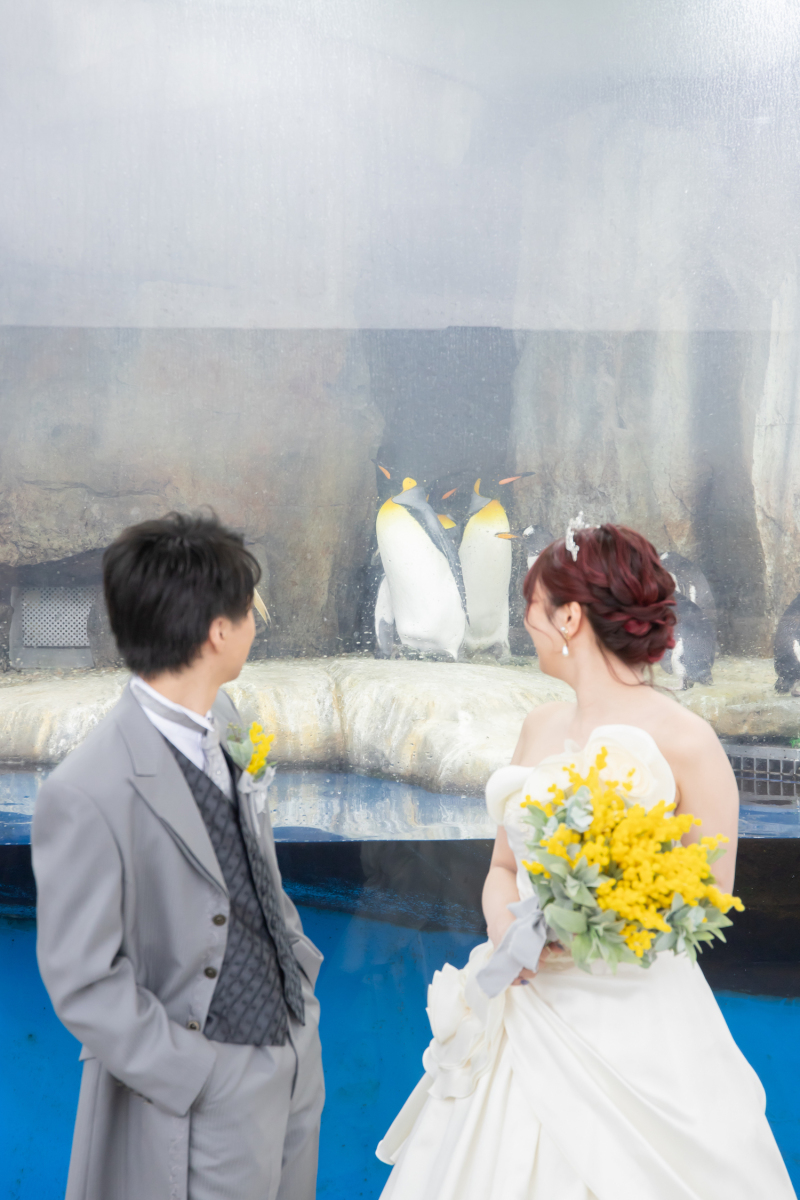 かわいいペンギンさん♡思わず見惚れてしまいます!