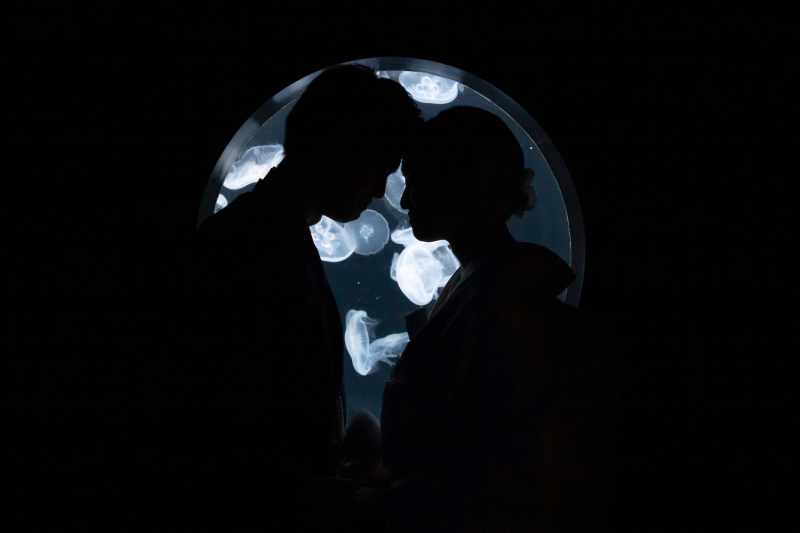 ロマンチックなシルエット撮影♡②