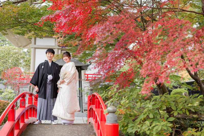色鮮やかな風景
