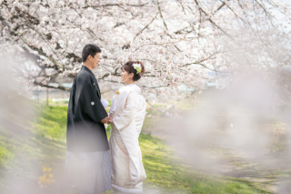 和装桜ロケーション！