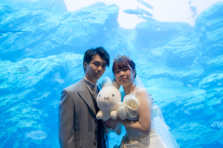 洋装　スタジオ・うみの杜水族館