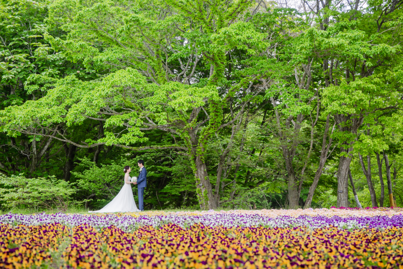 色鮮やかな花の絨毯