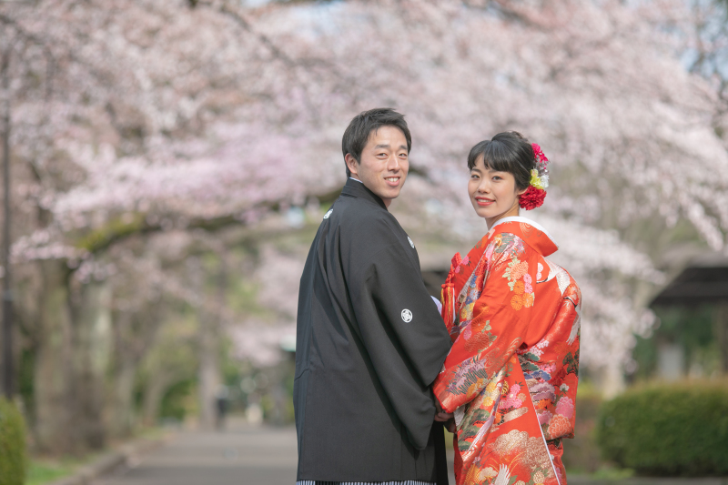 サクラの並木道