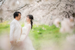 桜フォト＊白石川堤一目千本桜