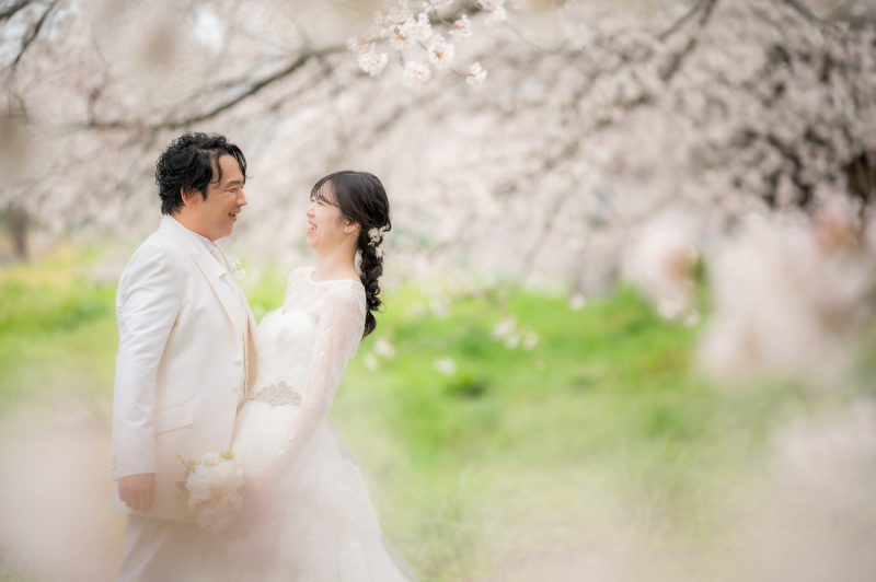 桜フォト*白石川堤一目千本桜