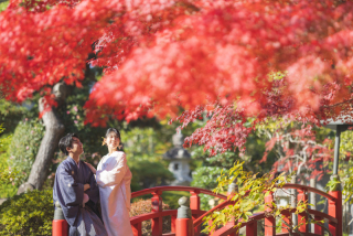 スタジオ マタニティウェディングフォト 画像