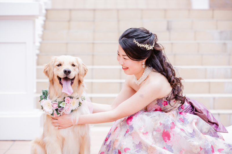 わんちゃんと一緒に