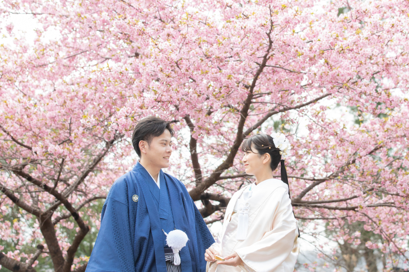 まずは満開の桜をバックに、和装からスタートです!