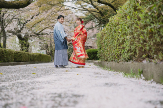 和装　桜ロケーション撮影