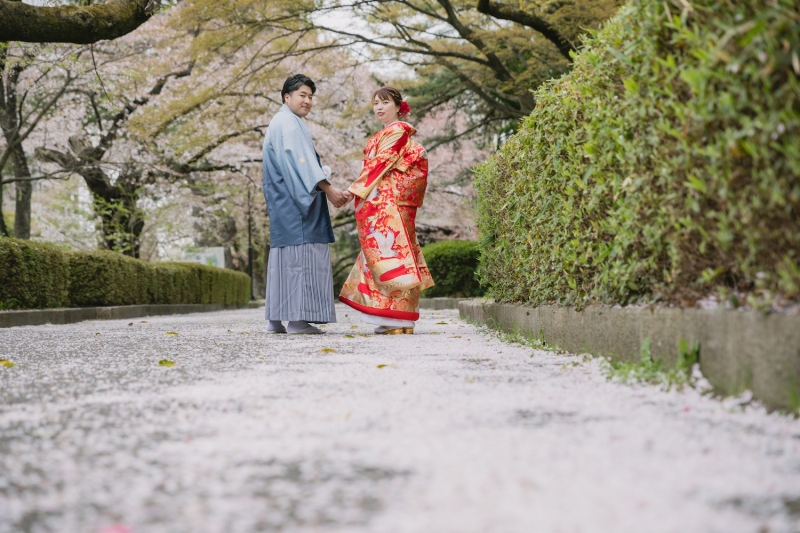 和装　桜ロケーション撮影