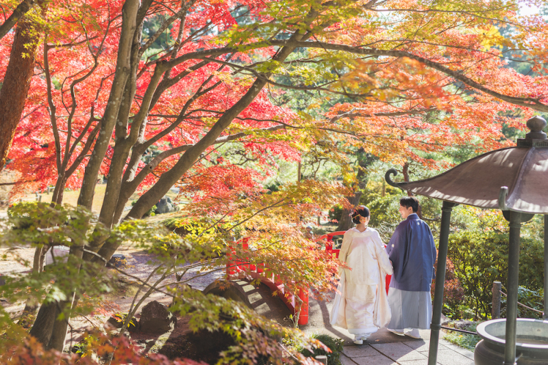 紅葉の見頃を迎えたもみじの樹の下で・・・