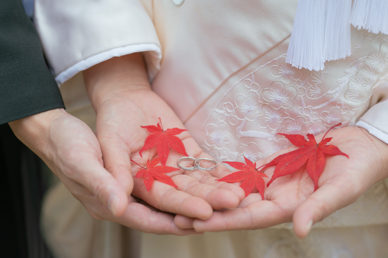 鮮やかな紅葉と