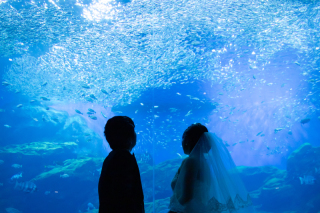 洋装２着　海の杜水族館　スタジオ撮影