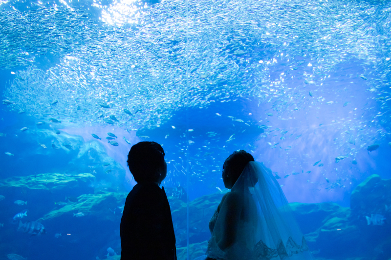 洋装２着　海の杜水族館　スタジオ撮影