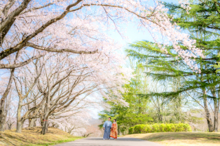 【みちのく杜の湖畔公園ロケーションフォト】四季折々の景色の中で撮影を！