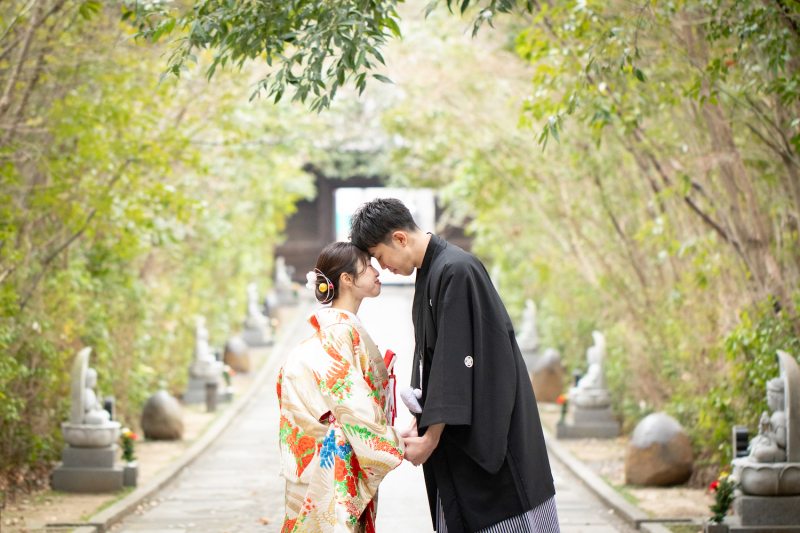 緑が美しい参道でのワンシーン