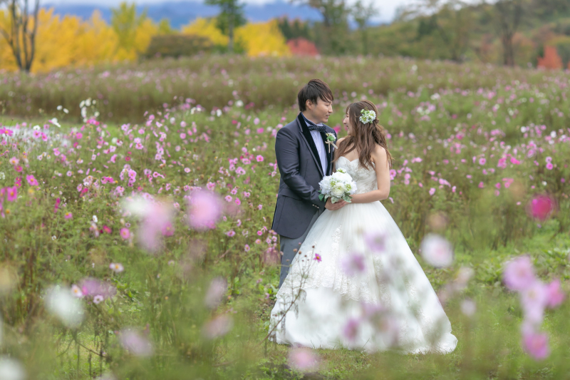 コスモスと一緒に