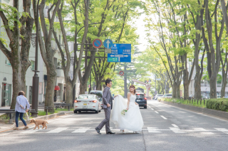 緑いっぱいの定禅寺通りでウェディングフォト♪