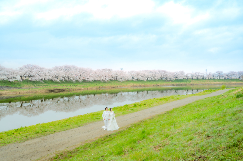 水面に映る桜が幻想的です*