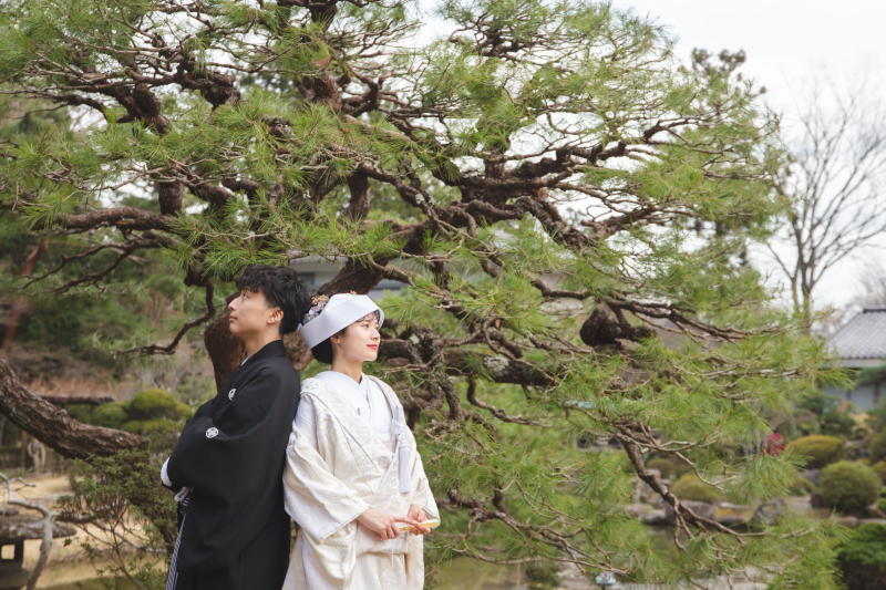 大きな松の木の下で