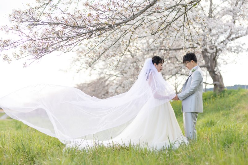 幻想的なショット