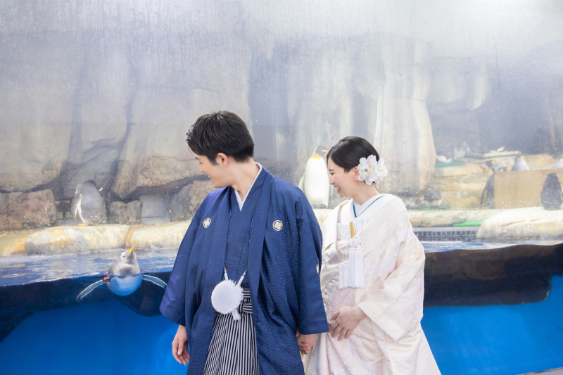 ペンギンさんたちもお祝いに来てくれました!