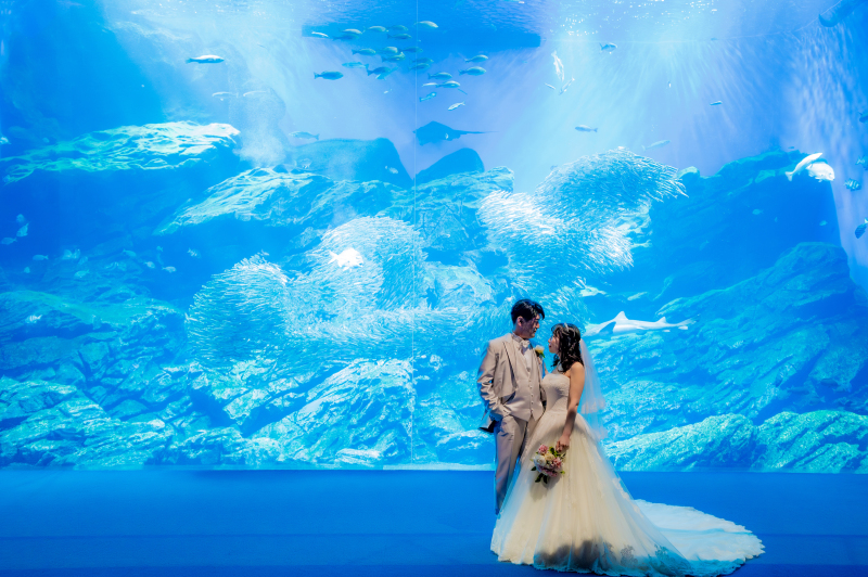 夜の水族館で貸切フォト撮影☆