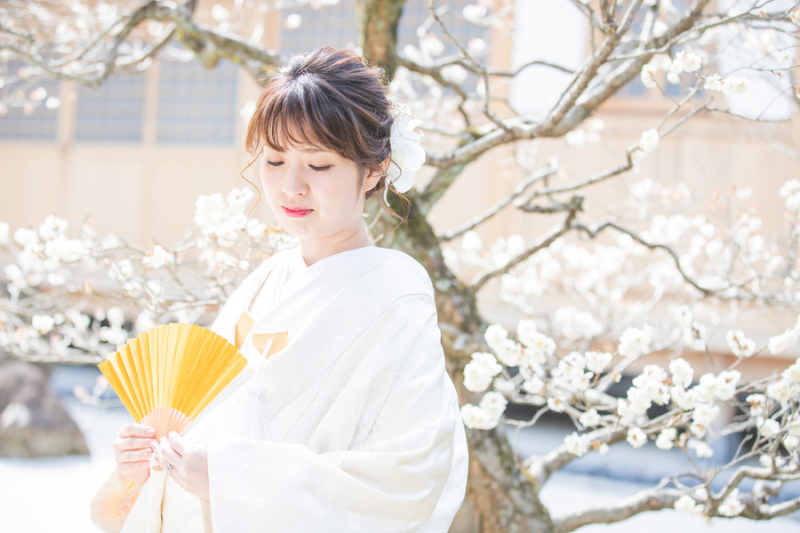 梅が咲いていました♪