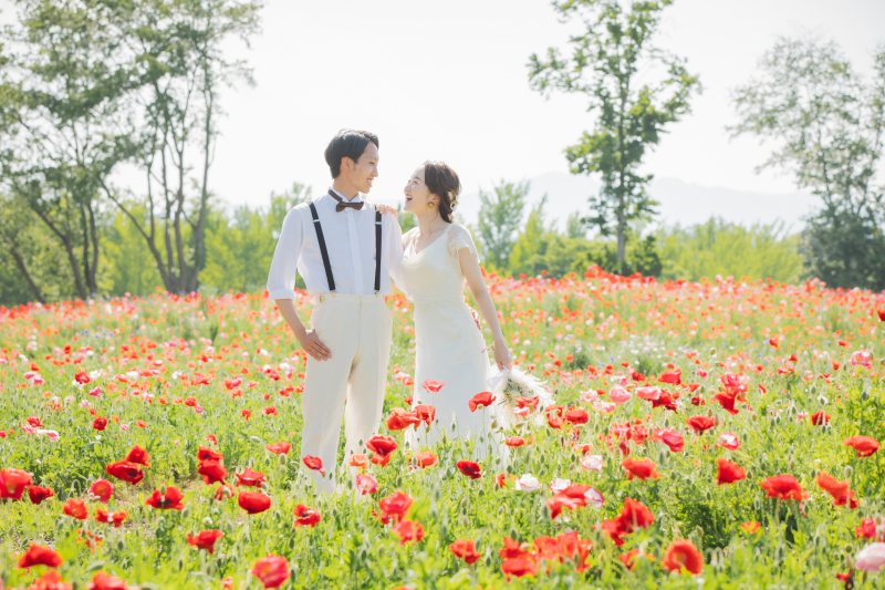 色鮮やかな花畑と