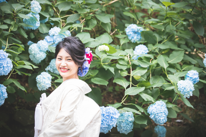 紫陽花に囲まれて