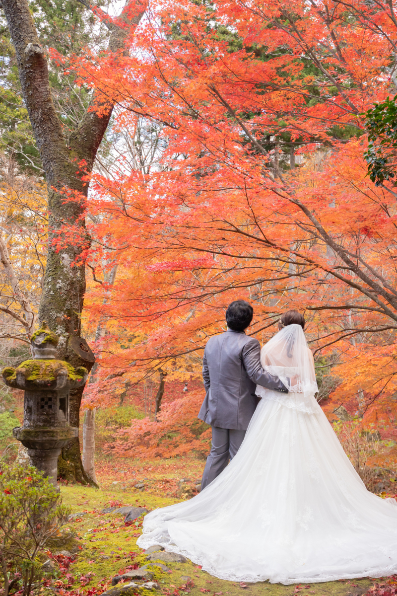真っ赤な紅葉がお二人を包み込み季節感あふれる1枚