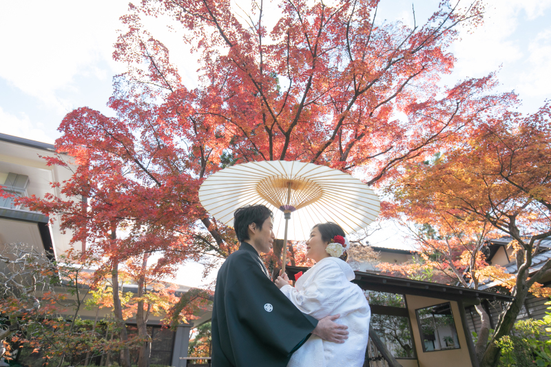 幻想的な紅葉フォト