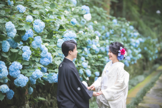 【瑞鳳殿】紫陽花フォト