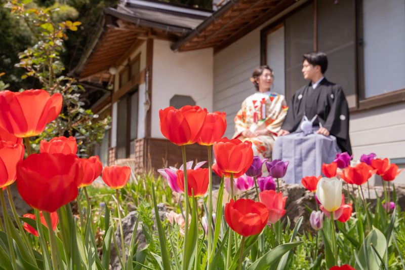 お花越しに・・・
