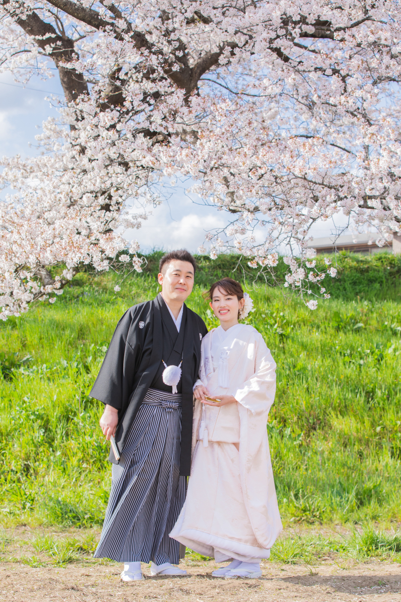 春の美しい桜をバックに撮影