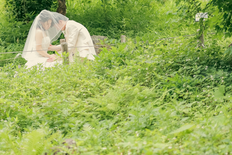 自然に囲まれて