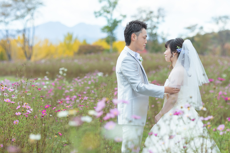 コスモスと共に・・・