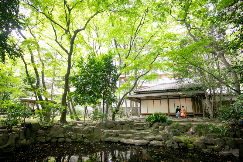 新緑に包まれる緑水庵！