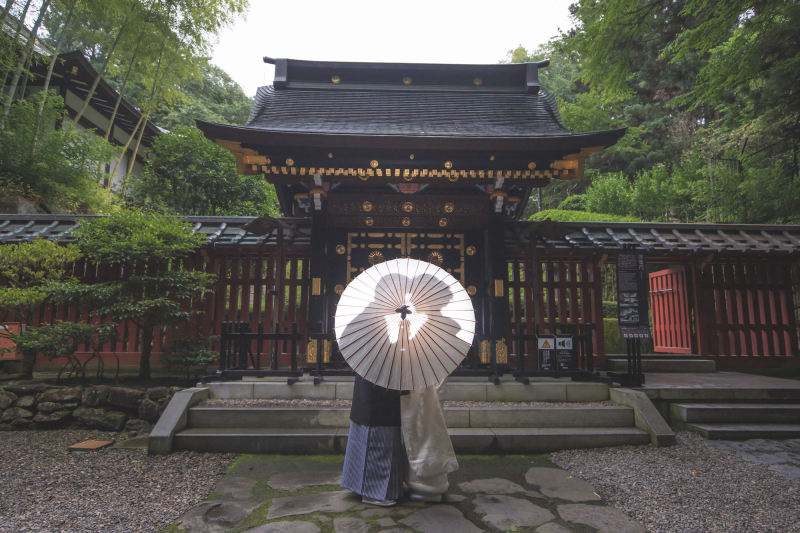 番傘 シルエットショット