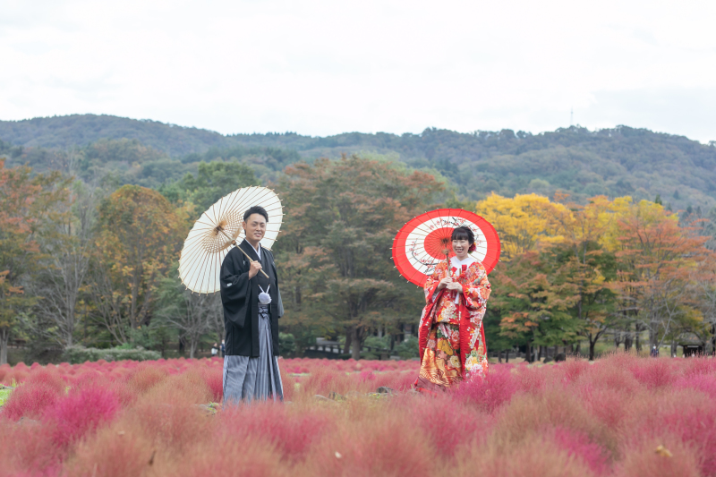 コキア畑の中で