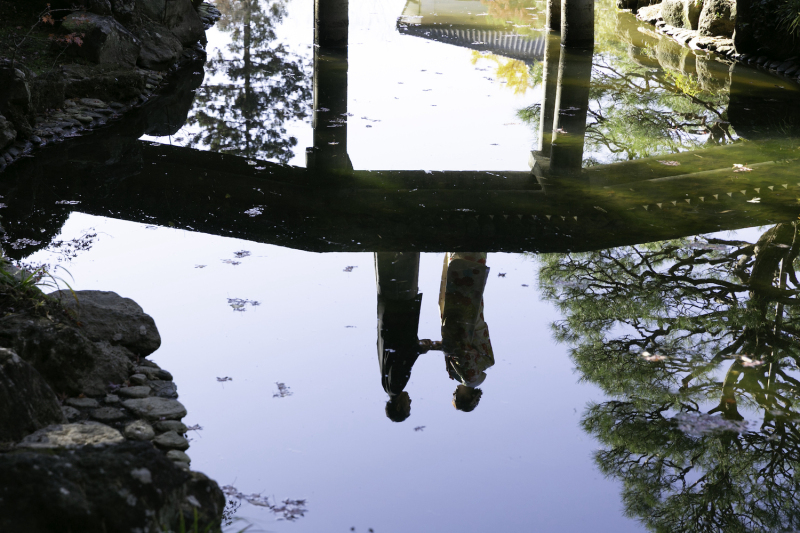 水面に写るおふたり...とても幻想的な一枚