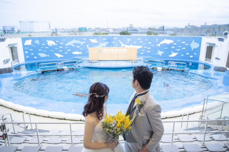 イルカと一緒に