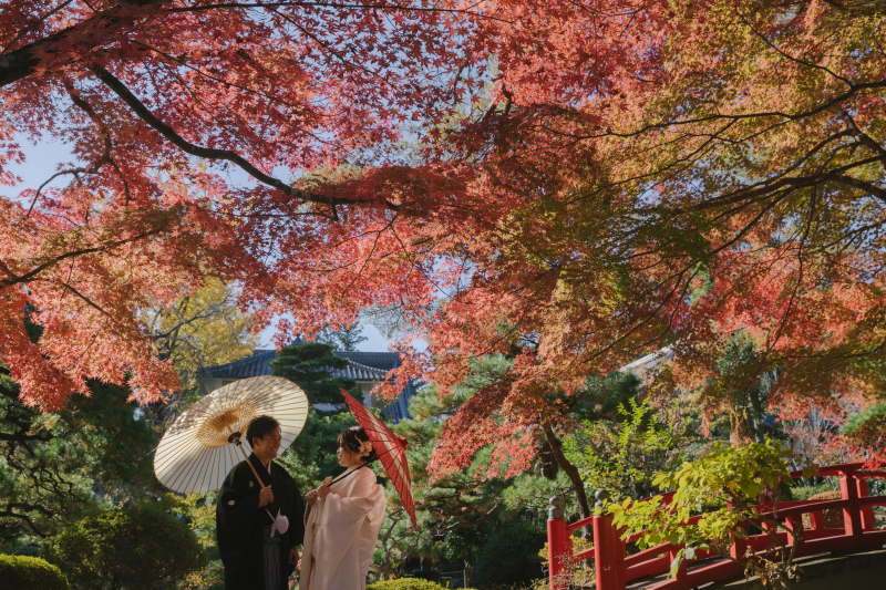 綺麗に広がる紅葉