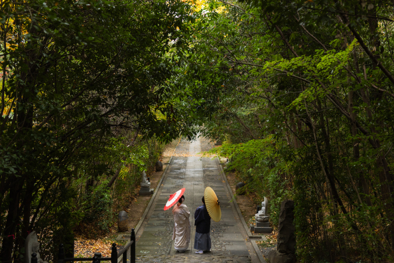 シルエット風なドラマチックで素敵なショットですね