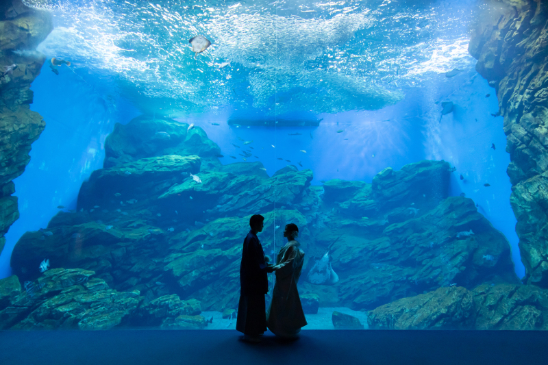 ロマンチックなシルエット撮影♡③