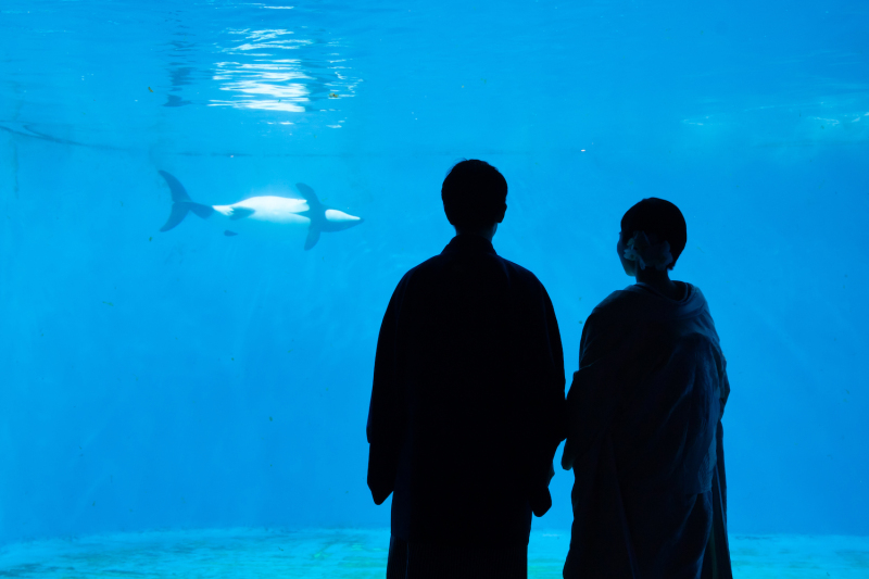 ロマンチックなシルエット撮影♡①