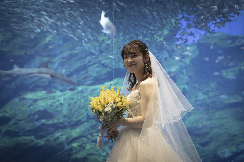 【仙台うみの杜水族館 ロケーションフォト】大迫力!いきもの達と一緒に撮影♪(ヘアメイク・移動費・申請費・全データ付き!)
