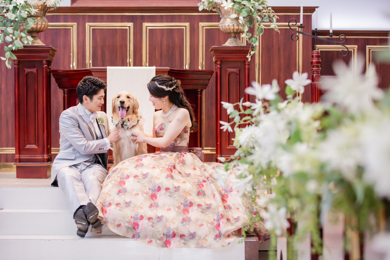 【ペットフォトプラン】大切なペットと一緒に♪洋装ロケーションフォト!(ヘアメイク・移動費・申請費・全データ付き)