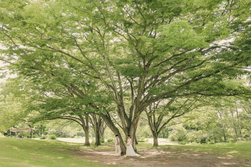 【野草園ロケーションフォト】広大な芝生エリアも魅力!様々な自然植物と!(ヘアメイク・移動費・申請費・全データ150cut付き!)